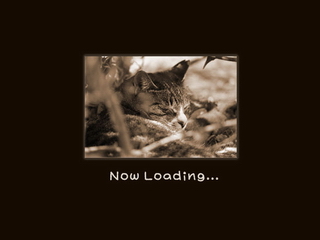 loading03.jpg